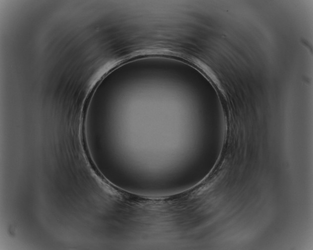 X0000093221245200710031433