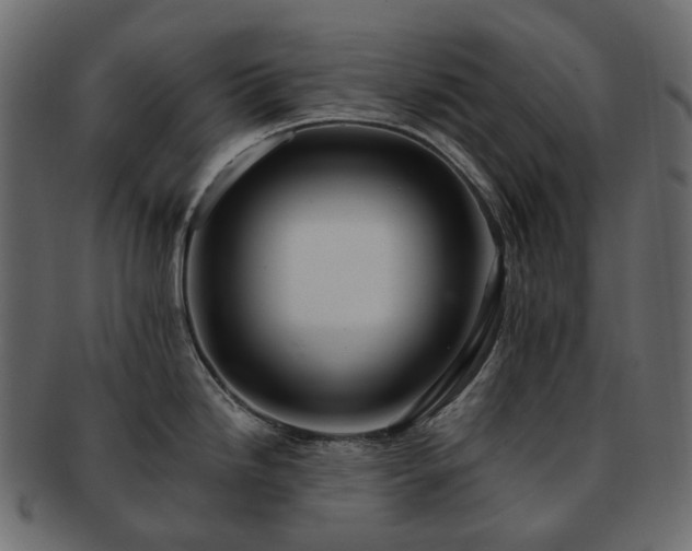 X0000093221246200710031433