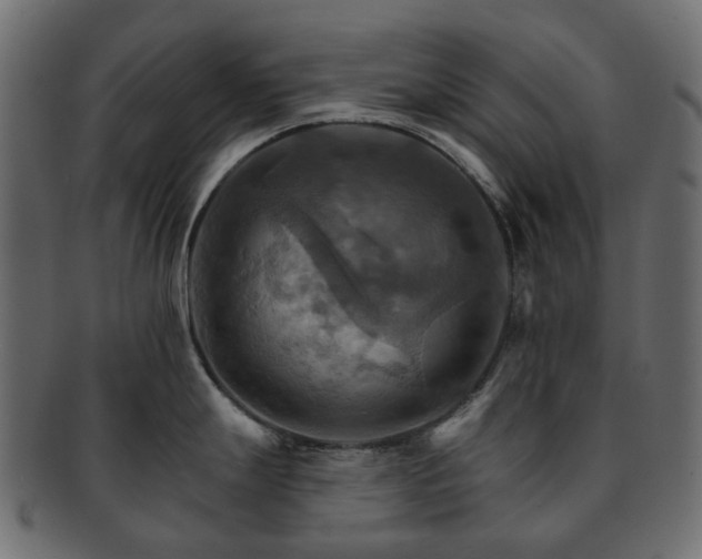 X0000093221247200710031433