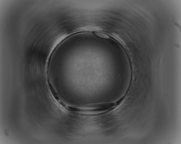 X0000093221248200710031433