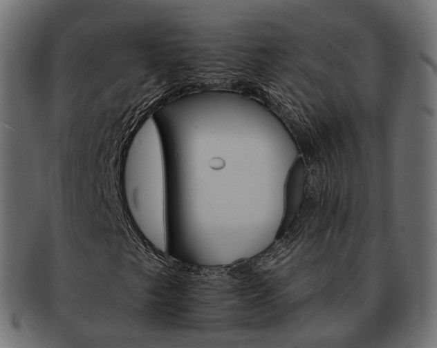 X0000093221249200710031433