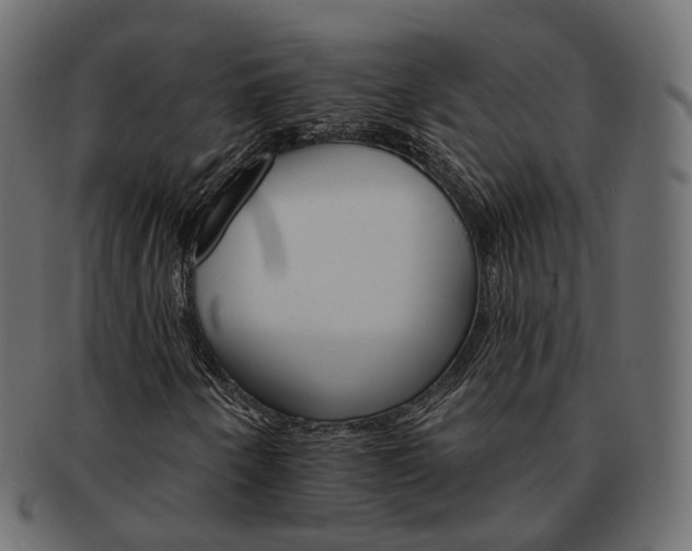 X0000093221250200710031433