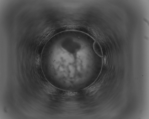 X0000093221251200710031433