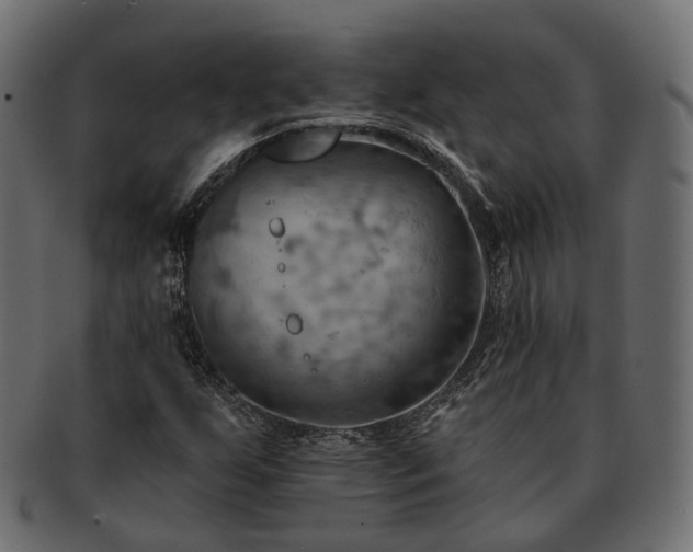 X0000093221255200710031433