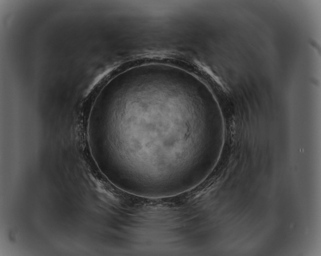 X0000093221256200710031433