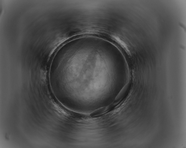 X0000093221260200710031433