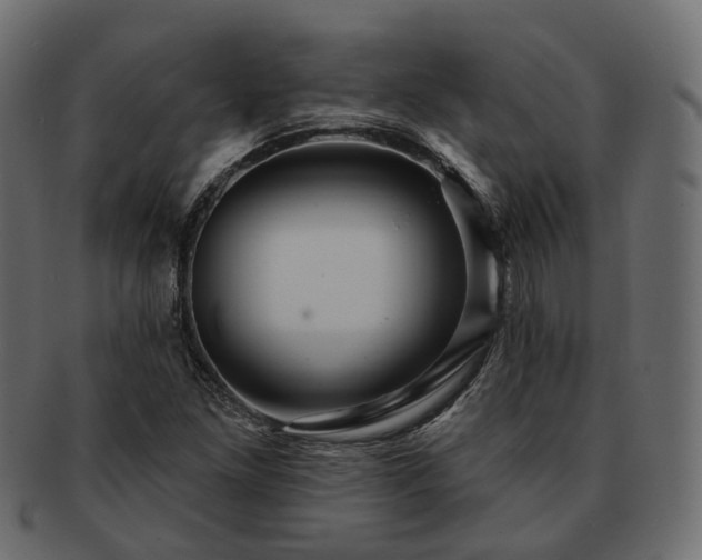 X0000093221261200710031433