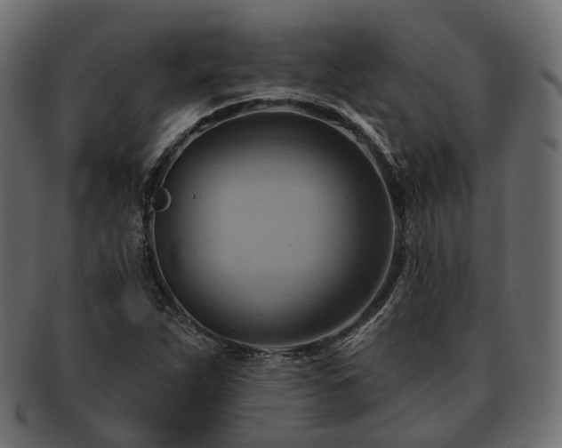 X0000093221263200710031433