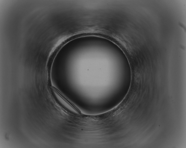 X0000093221270200710031433