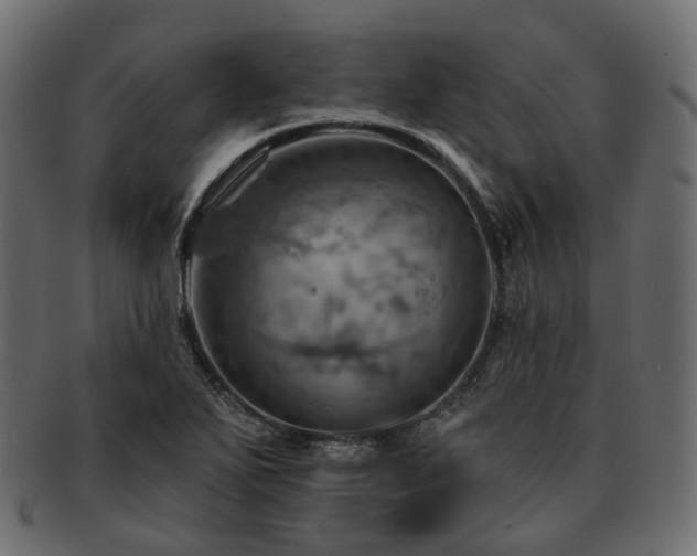 X0000093221271200710031433