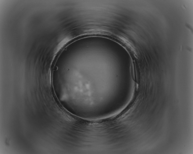 X0000093221275200710031433