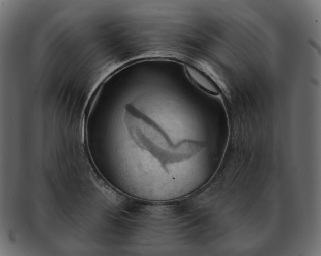 X0000093221276200710031432