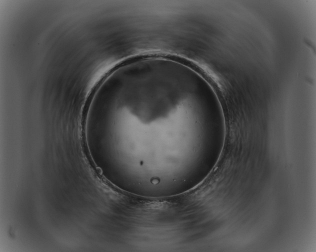 X0000093221279200710031432