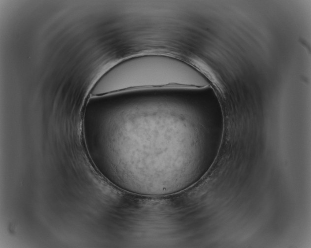 X0000093221284200710031432