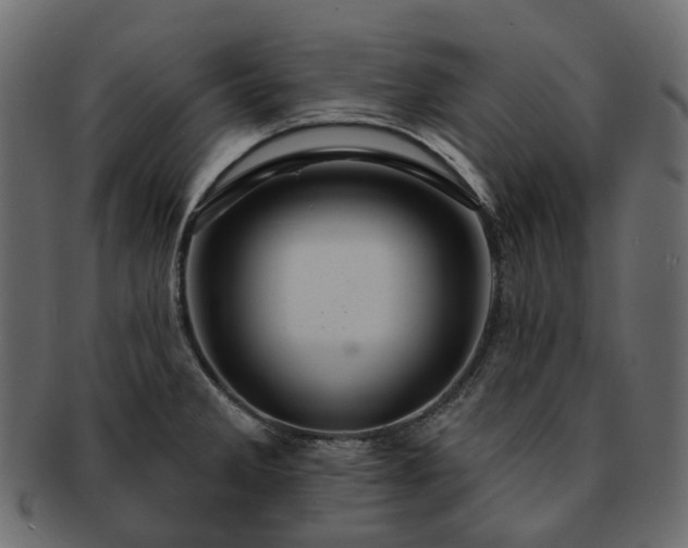 X0000093221285200710031432