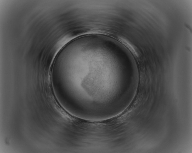 X0000093221292200710031432