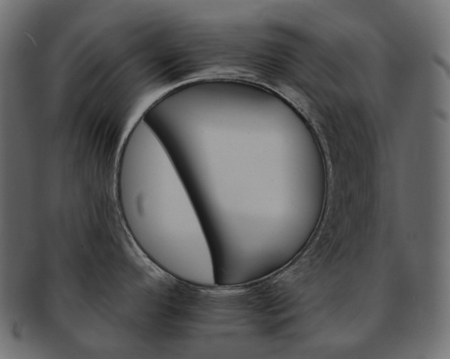 X0000093221296200710031432