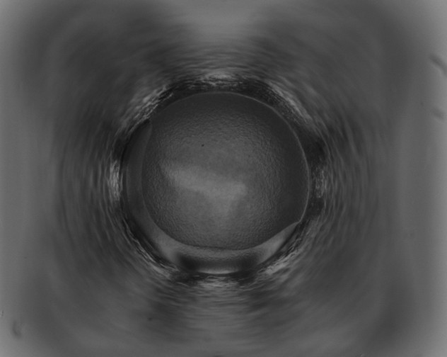 X0000093221298200710031432