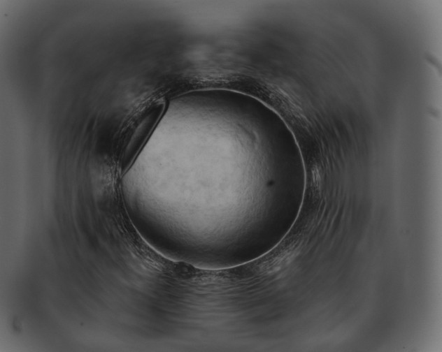 X0000093221300200710031432