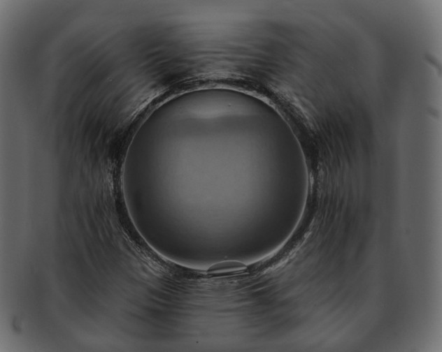 X0000093221305200710031432