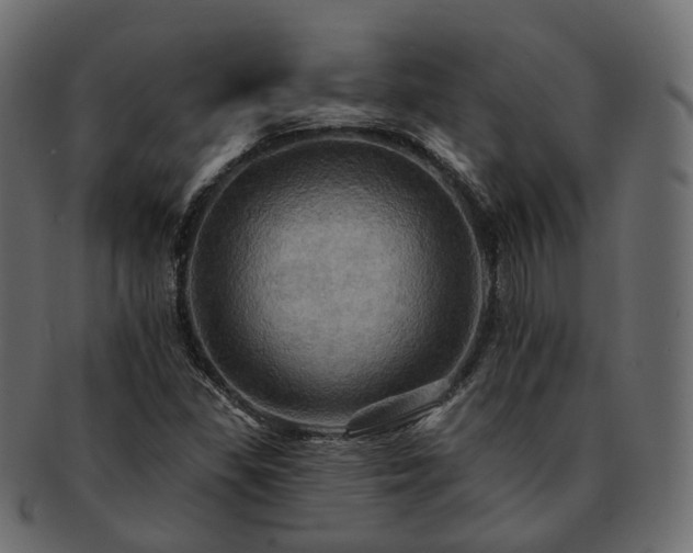 X0000093221309200710031432