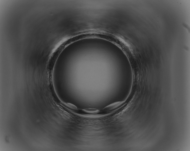 X0000093221310200710031432