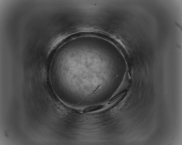 X0000093221311200710031432