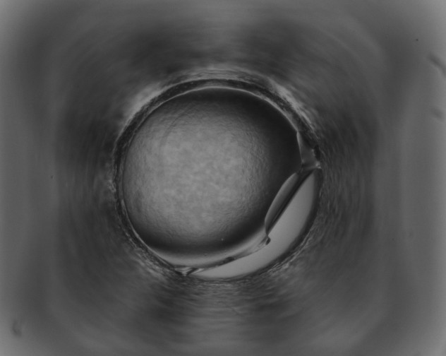 X0000093221312200710031432