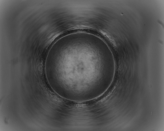 X0000093221313200710031432