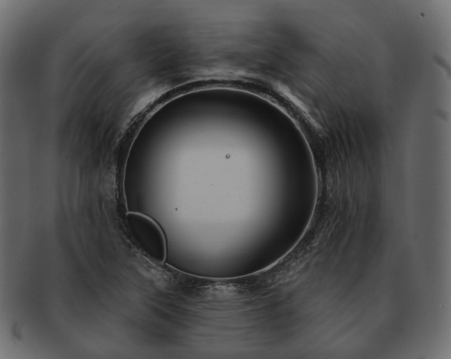 X0000093221315200710031432