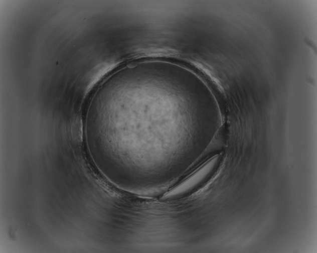 X0000093221317200710031432