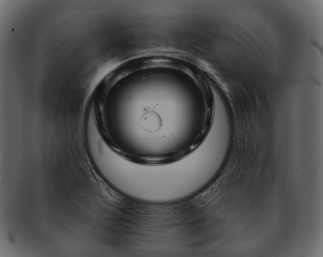 X0000093221320200710031432