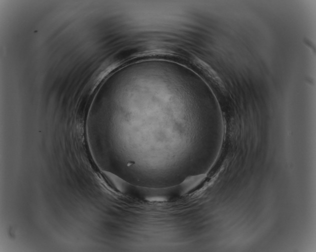 X0000093221321200710031432