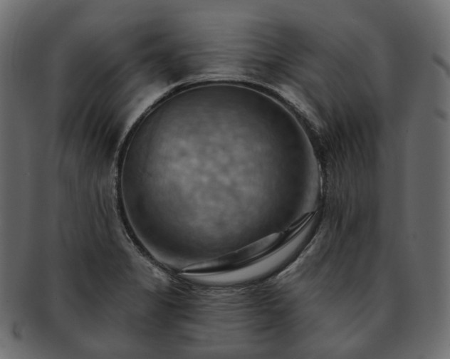 X0000093221325200710031432