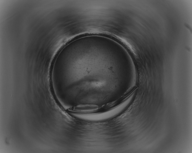 X0000093221327200710031432