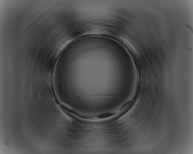 X0000093221329200710031432