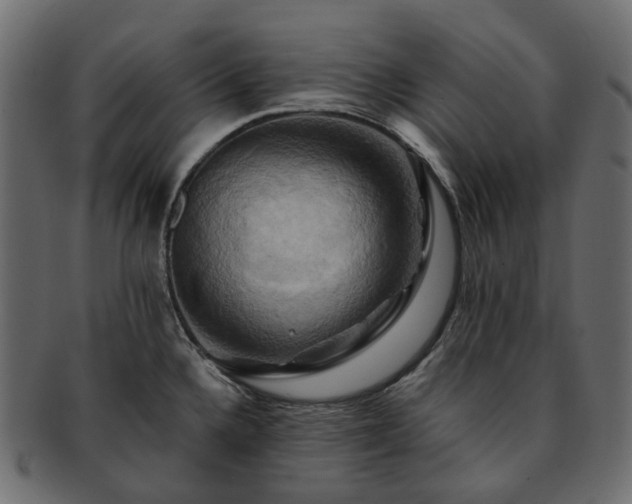 X0000093221336200710031432