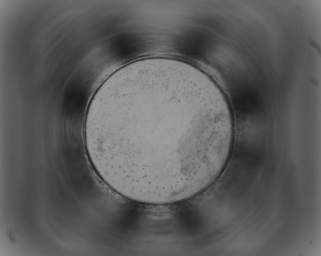 X0000093221338200710031432