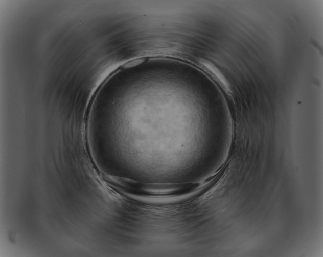 X0000093221340200710031432