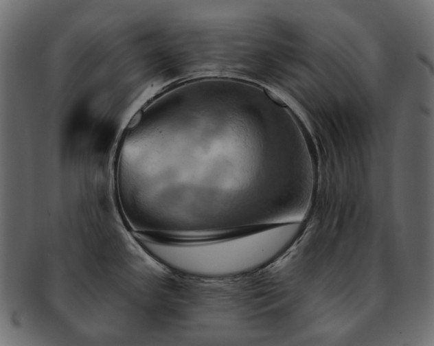 X0000093221341200710031432