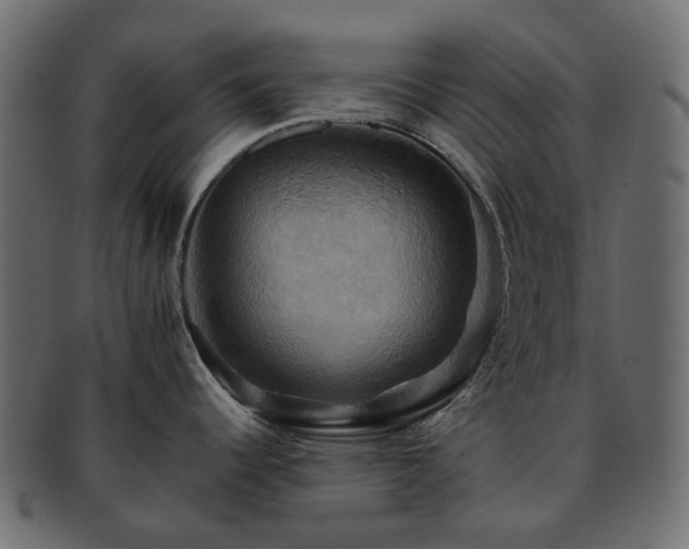 X0000093221344200710031432