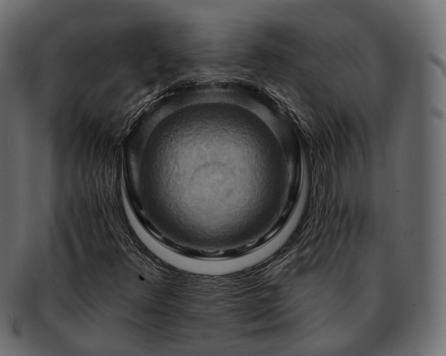 X0000093221348200710031432