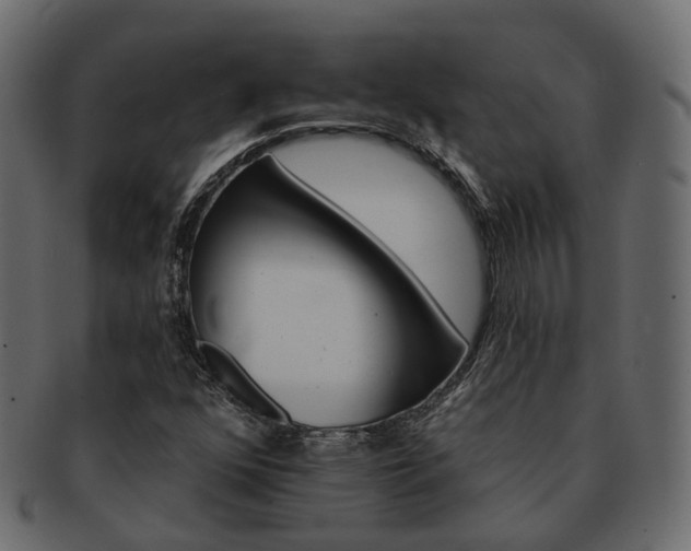 X0000093221352200710031432