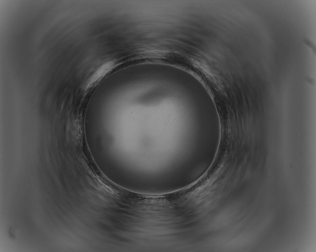 X0000093221354200710031432