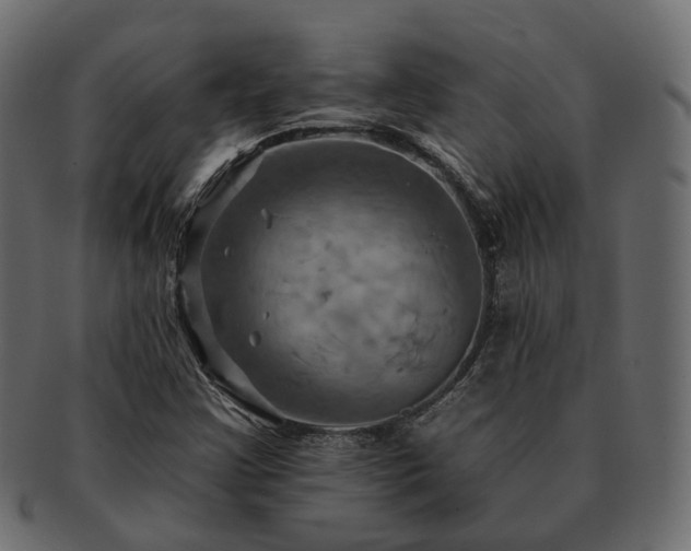 X0000093221355200710031432