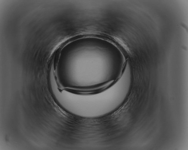 X0000093221356200710031432