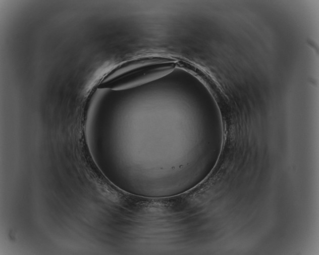 X0000093221359200710031432