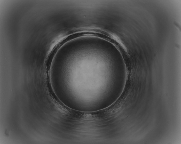 X0000093221360200710031432