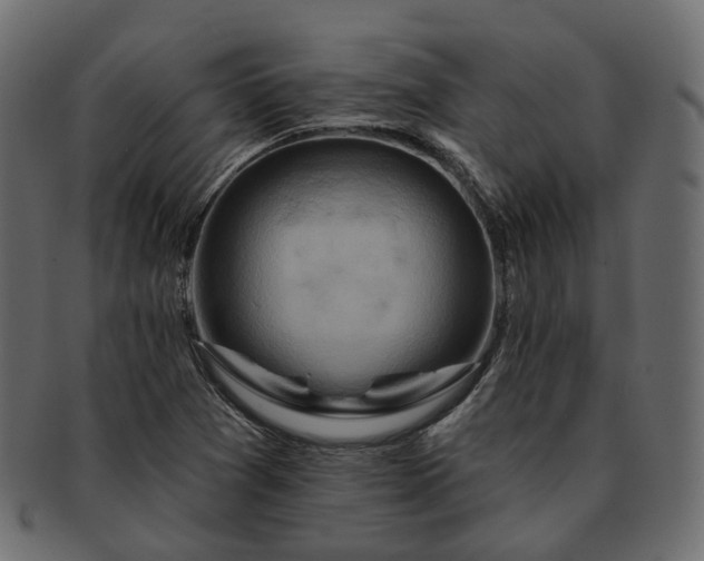 X0000093221361200710031431