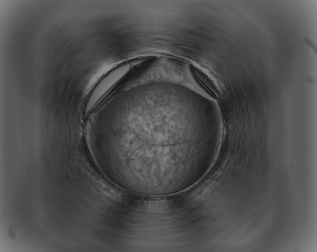 X0000093221363200710031431